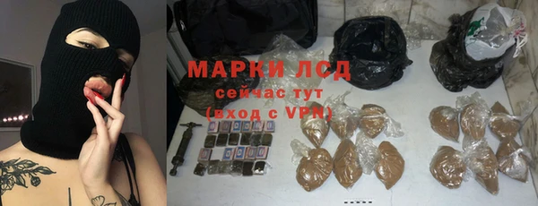 прущий лед Богданович