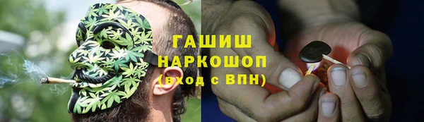 прущий лед Богданович