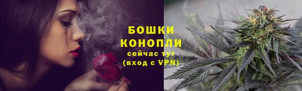 PSILOCYBIN Белоозёрский