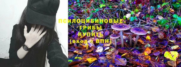 меф Белокуриха