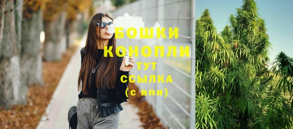 прущий лед Богданович